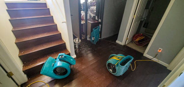 Best Water damage cleanup near me  in Kohler, WI