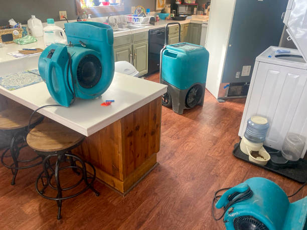 Best 24-hour water damage restoration  in Kohler, WI