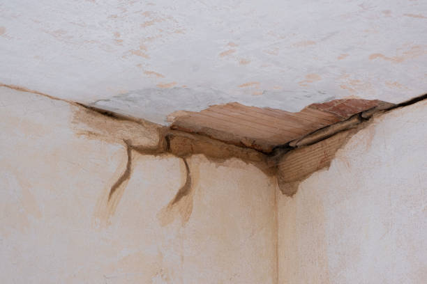 Best Sewage cleanup and water damage restoration  in Kohler, WI