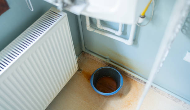 Best Ceiling water damage repair  in Kohler, WI