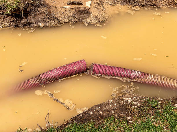 Best Professional water damage repair  in Kohler, WI
