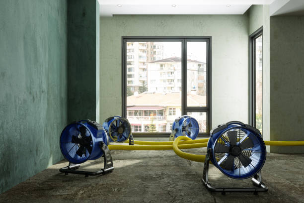 Best Emergency water damage restoration  in Kohler, WI