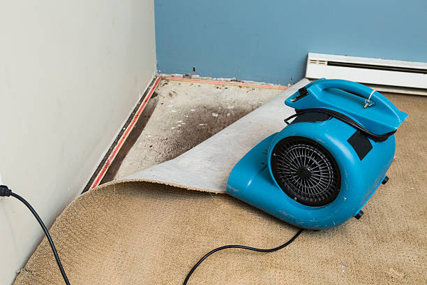 Best Water damage restoration process  in Kohler, WI